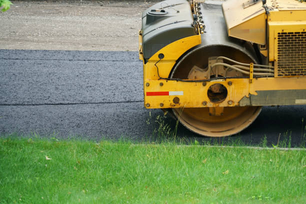 Best Driveway Pavers for Homes  in Necedah, WI